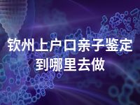 钦州上户口亲子鉴定到哪里去做