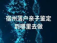 宿州落户亲子鉴定到哪里去做