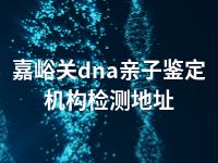 嘉峪关dna亲子鉴定机构检测地址