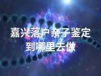 嘉兴落户亲子鉴定到哪里去做