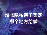 淮北隐私亲子鉴定哪个地方给做