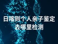 日喀则个人亲子鉴定去哪里检测