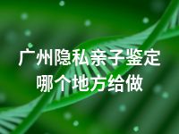 广州隐私亲子鉴定哪个地方给做