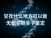 甘孜什么地方可以做无创孕期亲子鉴定