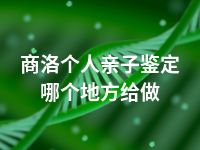 商洛个人亲子鉴定哪个地方给做