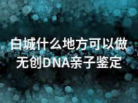 白城什么地方可以做无创DNA亲子鉴定