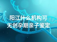 阳江什么机构可无创孕期亲子鉴定