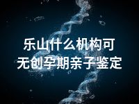 乐山什么机构可无创孕期亲子鉴定