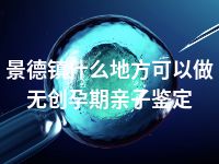 景德镇什么地方可以做无创孕期亲子鉴定