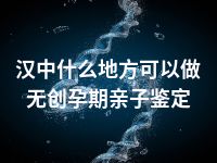 汉中什么地方可以做无创孕期亲子鉴定