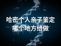 哈密个人亲子鉴定哪个地方给做