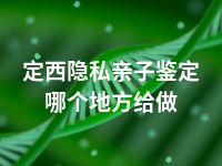 定西隐私亲子鉴定哪个地方给做