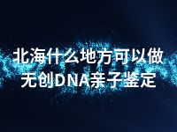 北海什么地方可以做无创DNA亲子鉴定