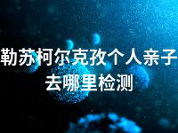 克孜勒苏柯尔克孜个人亲子鉴定去哪里检测