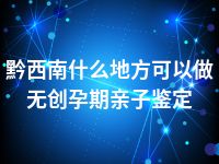 黔西南什么地方可以做无创孕期亲子鉴定