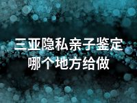 三亚隐私亲子鉴定哪个地方给做