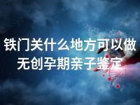 铁门关什么地方可以做无创孕期亲子鉴定