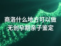 商洛什么地方可以做无创孕期亲子鉴定