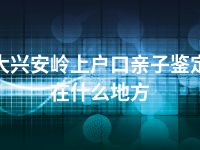 大兴安岭上户口亲子鉴定在什么地方