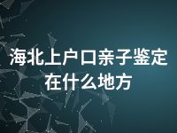 海北上户口亲子鉴定在什么地方