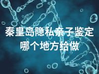 秦皇岛隐私亲子鉴定哪个地方给做