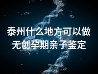 泰州什么地方可以做无创孕期亲子鉴定