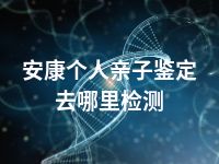 安康个人亲子鉴定去哪里检测