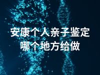 安康个人亲子鉴定哪个地方给做