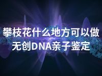 攀枝花什么地方可以做无创DNA亲子鉴定