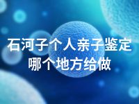 石河子个人亲子鉴定哪个地方给做