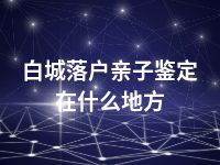 白城落户亲子鉴定在什么地方