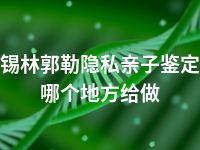 锡林郭勒隐私亲子鉴定哪个地方给做