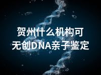 贺州什么机构可无创DNA亲子鉴定