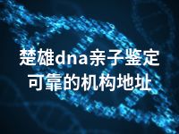 楚雄dna亲子鉴定可靠的机构地址