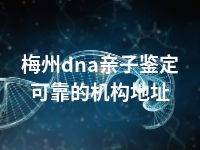 梅州dna亲子鉴定可靠的机构地址