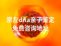 崇左dna亲子鉴定免费咨询地址