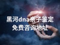 黑河dna亲子鉴定免费咨询地址