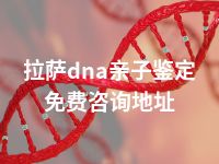 拉萨dna亲子鉴定免费咨询地址