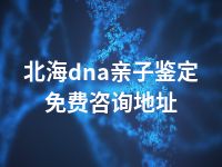 北海dna亲子鉴定免费咨询地址