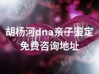 胡杨河dna亲子鉴定免费咨询地址