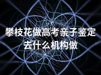 攀枝花做高考亲子鉴定去什么机构做