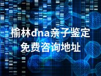 榆林dna亲子鉴定免费咨询地址