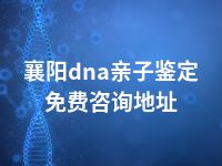 襄阳dna亲子鉴定免费咨询地址