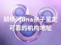 胡杨河dna亲子鉴定可靠的机构地址