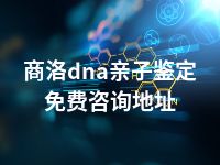 商洛dna亲子鉴定免费咨询地址