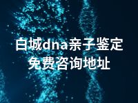 白城dna亲子鉴定免费咨询地址