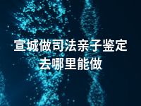 宣城做司法亲子鉴定去哪里能做