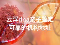 云浮dna亲子鉴定可靠的机构地址