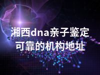 湘西dna亲子鉴定可靠的机构地址