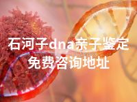 石河子dna亲子鉴定免费咨询地址